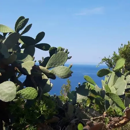 La Dimora Del Marinaio 2 - Helloelba * מרינה די קמפו